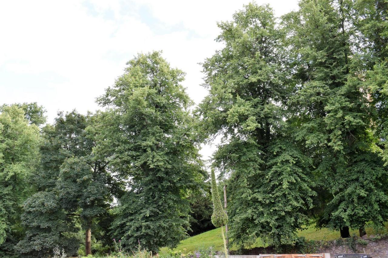 Berkeley Square Pads Lägenhet Bristol Rum bild